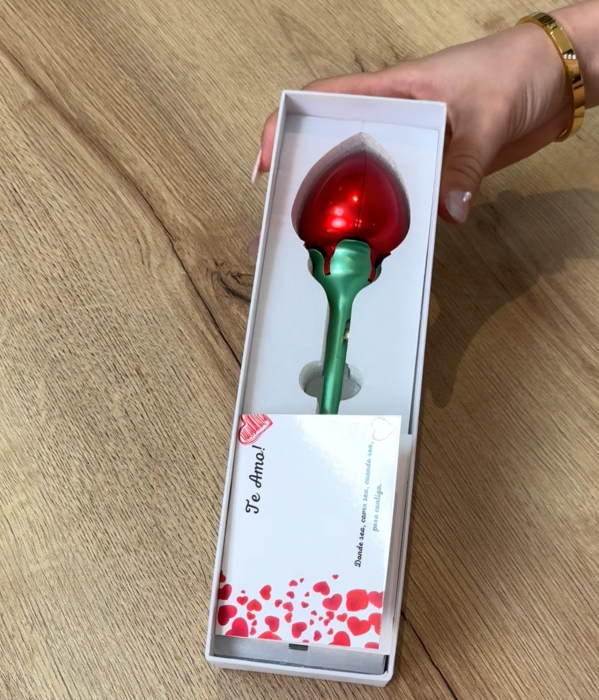 🌹✨  Romántico Collar Sorpresa